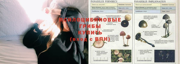 наркотики Беломорск