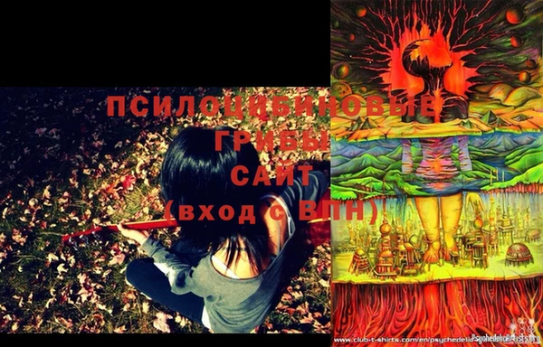 бошки Белокуриха