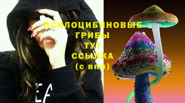 молекула духа Бронницы