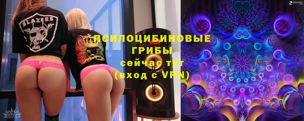 бошки Белокуриха